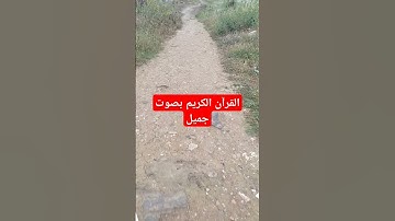 القرآن الكريم بصوت جميل #اكسبلور #قرآن #تيك_توك #quran #ترند #القرآن_الكريم #لايك #راحة_نفسية