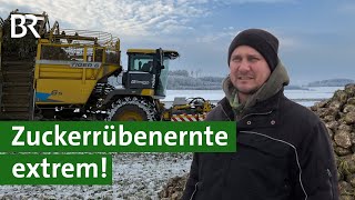 Rübenroder und Wintereinbruch in Bayern: Ernte extrem