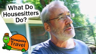 What Do House Sitters Do?