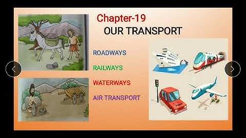 L-19 Our Transport l EVS I Class-4 I DAPS-1 I Durga