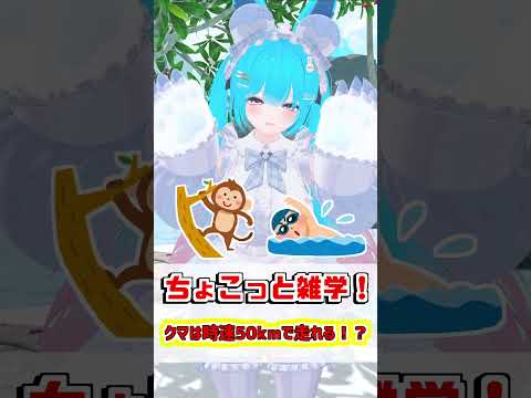 【ちょこっと雑学！】09.クマは時速50kmで走れる！？　#shorts #バーチャル警備員ムーさん #VRChat #vtuber