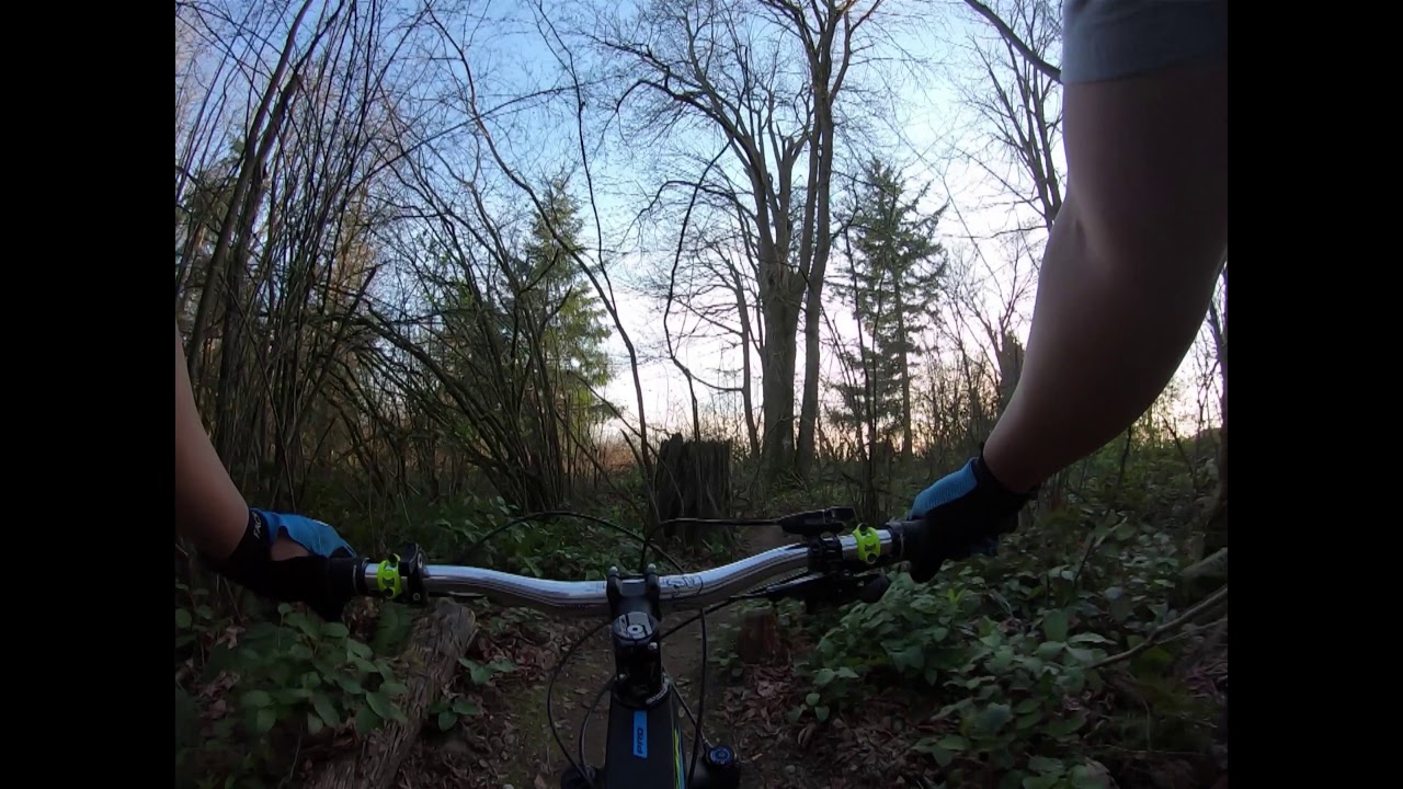 Tapeworm Trail Tours Glo Worm and Parasite YouTube