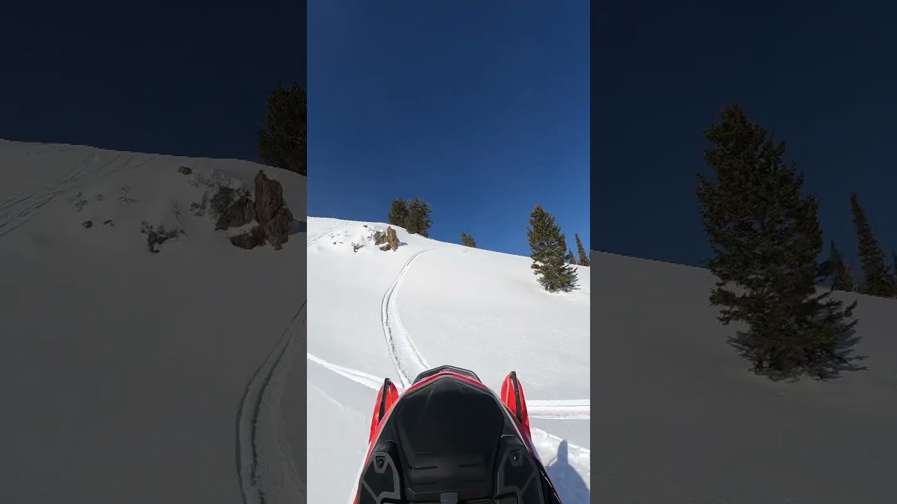 This used to be my favorite hill to climb back in the day! Day 19 (2/4/23) 