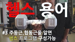 [헬스용어3] 주동근, 협동근을 알면 헬스초보 운동 프로그램 루틴 구성가능