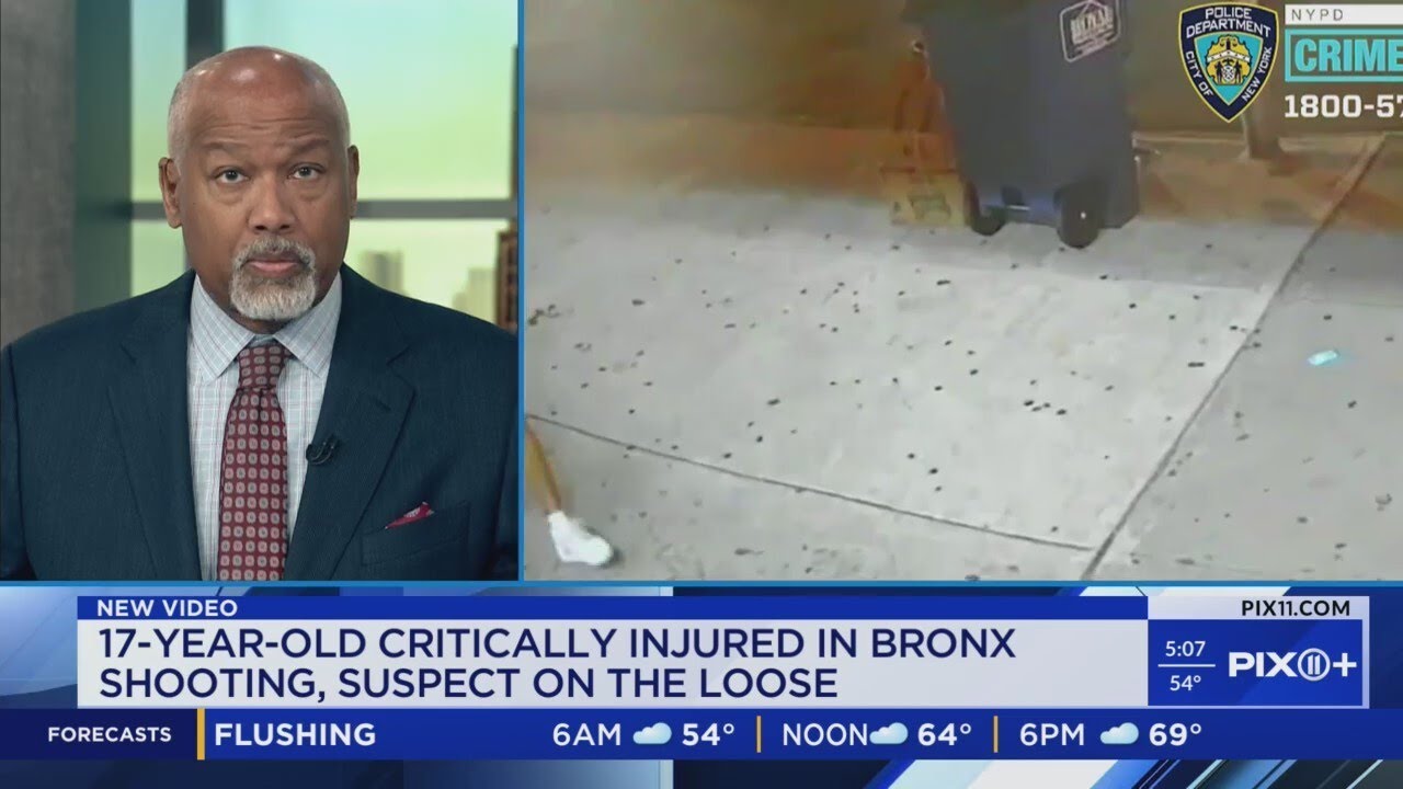 Gunman sought for shooting teen in the Bronx: NYPD - YouTube