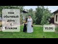 VLOG: наш обычный день с Блеком. Игра, сбор урожая, деревья в саду.