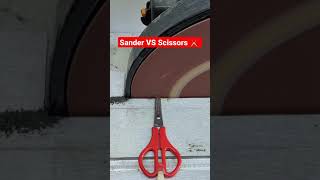 Sander VS Scissors #shorts #satisfying #satisfyingvideo