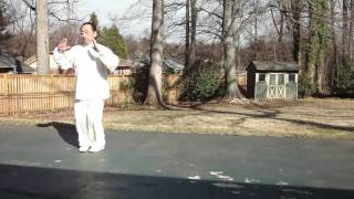 Sun Style Tai Chi By Master Liu Xiaoling