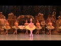 Sleeping beauty fairy variation  charline giezendanner