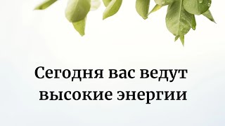 Сегодня Вас Ведут Высокие Энергии.