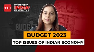 Budget 2023: Three issues bothering policy makers explained
