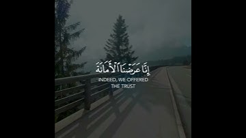 أرح سمعك 🥀لقارئ: رعد الكردي 🍃حالات واتس آب