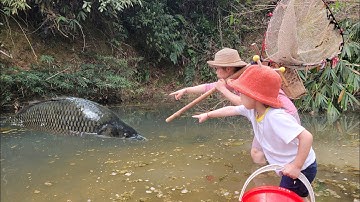 discovered a puddle with many giant fish. Girl and child use ancient skills to catch fish