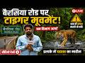 “Bhopal Tiger Alert | बैरसिया रोड के 7 गांवों में दहशत | Ground Report”