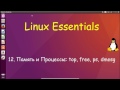 12.Linux для Начинающих - Процессы и Память: top, free, ps