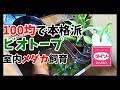 メダカ室内飼育!100均で簡単に本格的ビオトープを作る!DIY【Japanese Medaka】