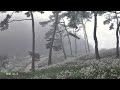 foryears. - heal pt.4