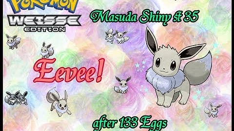 Live! Female Shiny Anticipation Eevee hatches via Masuda Method after 133 Eggs [ Pokemon White ]