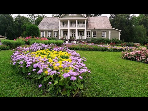 🌺50+Прекрасных идей для садового творчества / Beautiful garden ideas / A - Video