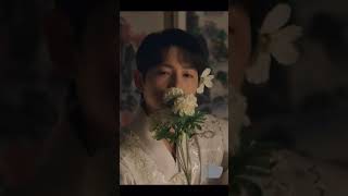 Download Lagu Vincenzo being Casanova #shorts |#dramacorner MP3 Download Lagu Vincenzo being Casanova #shorts |#dramacorner MP3