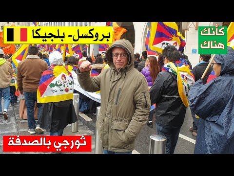 56 بروكسل بلجيكا ٣ ثورجي بالصدفة