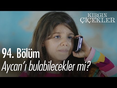 Aycan'ı bulabilecekler mi? - Kırgın Çiçekler 94. Bölüm