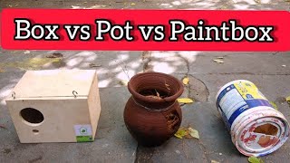 How to breed a finches in  தமிழ்| which is best breedingbox or pot or paintbox in  தமிழ் |smartbirds