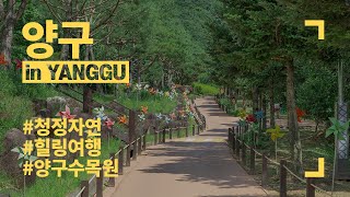 양구수목원 영상