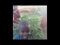 Magaalaa Jimmaa Ilmaan Oromoo Harargee Irraa Buqqa Anii Buunnoo Bedellee Qubatan Magaalaa Jimmaa Ilmaan Oromoo Harargee Irraa Buqqa Anii Buunnoo Bedellee Qubatan
