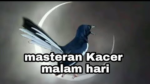 TERAPI MASTERAN AMPUH KACER MALAM HARI