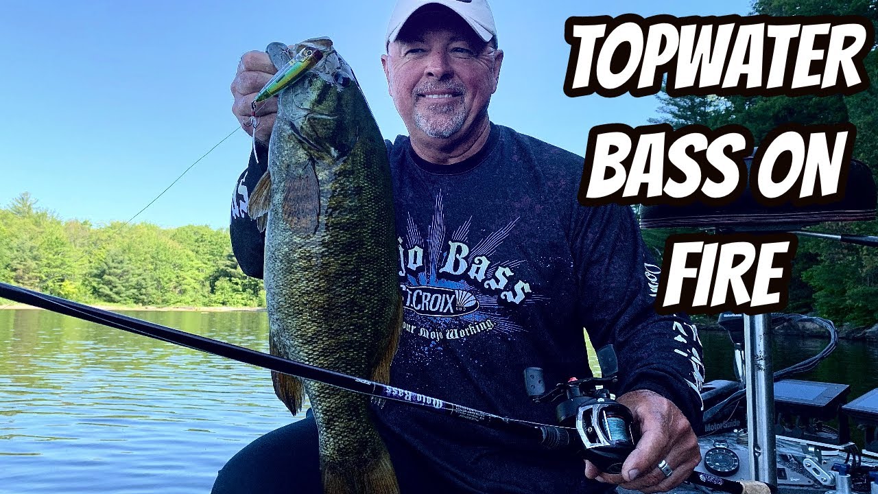 5 Topwater Options for Summer Bass Fishing - Wired2Fish