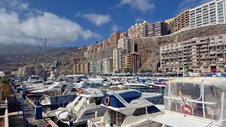 Radazul Tenerife (Short)