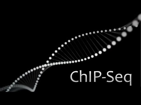 Introduction to ChIP-Seq