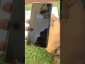 *Google Pixel 2 XL*4/64Only toch glass creckAll working condisonEdge covrd Display*Rs👉6600👈*