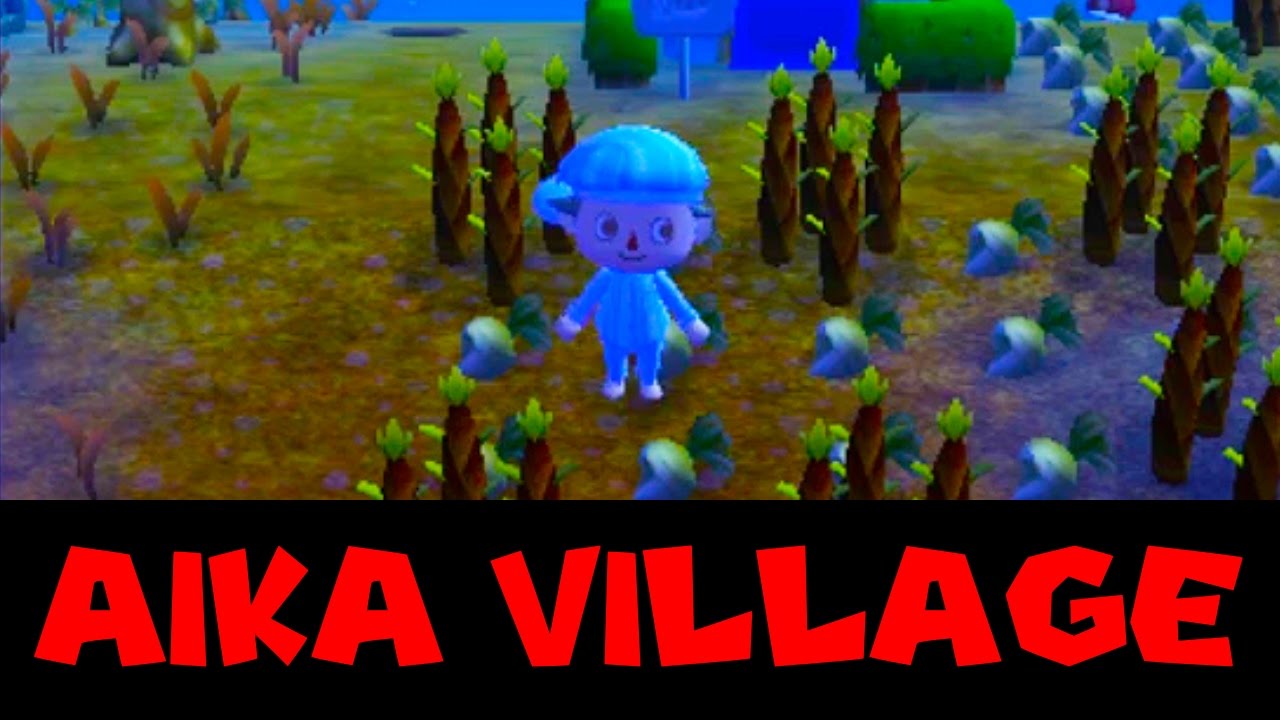 Village
