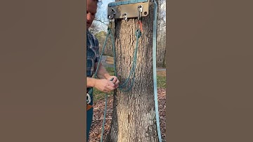 Climbing rope master point #climbing #rockclimbing #anchor
