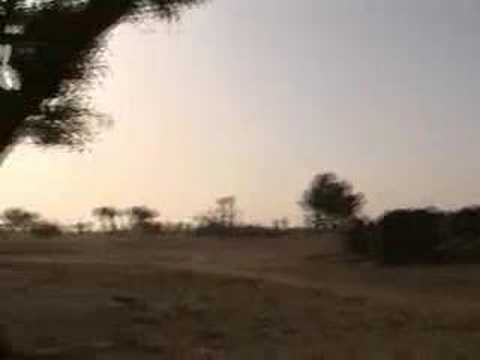 Burkina Faso - Gorom Gorom (dune deserdo)