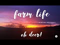 Farm Life with the Sullivan's - Oh Deer!