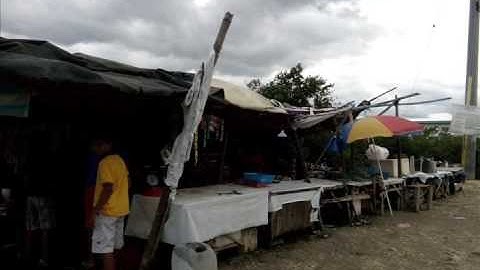 Performance task in Earth and Life Science