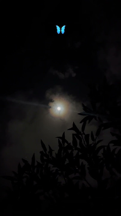 🦋💜✨🌕#tamilsongs #trendingshorts #trending #vibes #moon #moonlovers