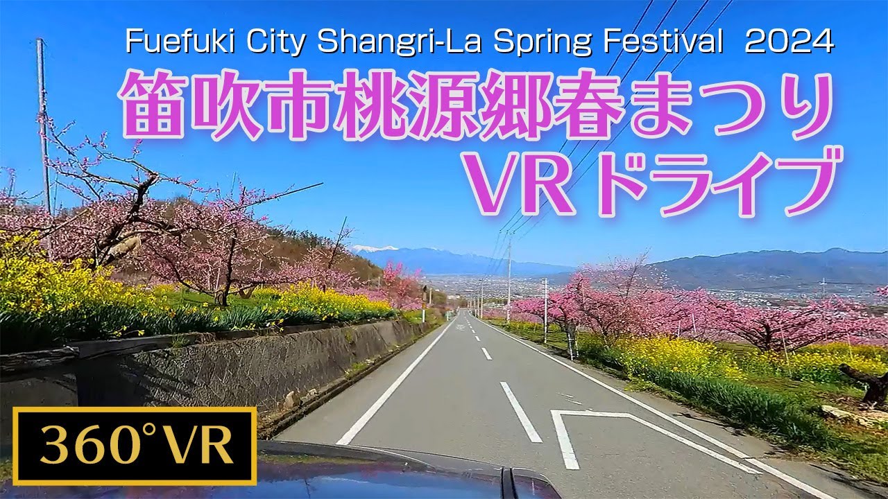 360 VR】笛吹市桃源郷春まつり2024 満開の桃の花を眺めながら