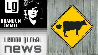 700,000 To Cow Farts The U.s. Federal Government Wastes Money