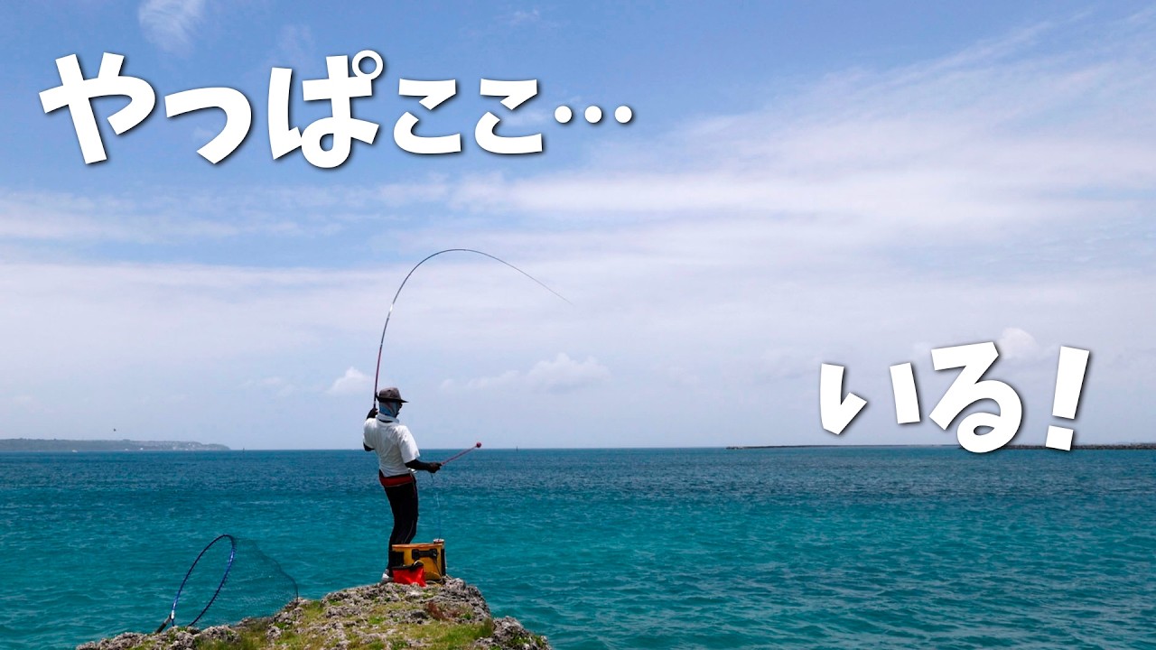 島を釣る I just wanted to catch it. That's all. - YouTube