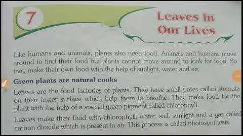 Class-3,EVS, lesson -7 Leaves in our lives, part-1