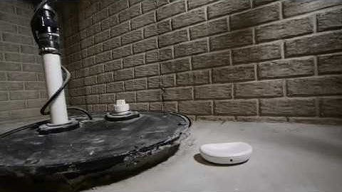 Leak Detector Probe FULL