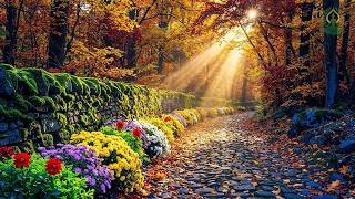 (No Ads) Autumn Serenity Music 🍁 Relaxing Melodies for Stress Relief & Deep Relaxation 2026