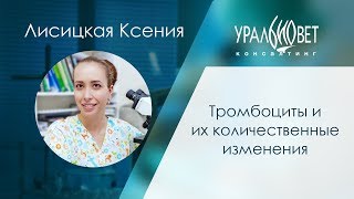 Тромбоциты и их количественные изменения. Лисицкая Ксения