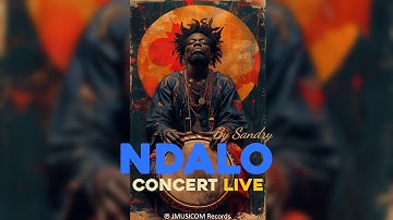 🌍 NDALO ᶜᴼᴺᶜᴱᴿᵀ ᴸᴵⱽᴱ 🪘 | Global Soul Connection • JMUSICOM ✨