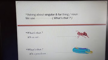 Next Move 2 unit 3 lesson 6