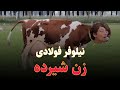 نیلوفر فولادی زن شیرده 